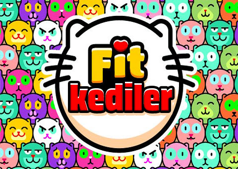 Fit Kediler - Farklı büyüklüklerdeki kedileri kutunun içine atın aynı boyuttaki iki kedi birbirine değerse birleşerek daha büyük bir kedi haline gelir