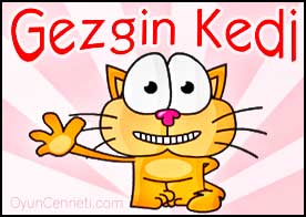 Gezgin Kedi - Dünya seyahatine çıkan kedinin karnını doyurma işi size ait