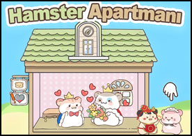 Tek katlı evle başlayıp kat ekleye ekleye devasa bir hamster apartmanına dönüştür