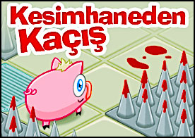 Kesimhaneden Kaçış - Pembe domuzcuk kesimhaneden kaçarak sosis olmaktan kurtulmak istiyor