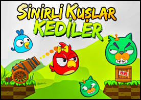 Angry Birds'in sinirli kuşları bu sefer kedilere karşı