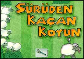 Sürüden Kaçan Koyun - Sürüden ayrılan koyunları anında kurt gibi kapın