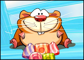 Sevimli hamster şeker yemeyi çok seviyor rengarenk şekerlerin ona ulaşmasını sağla