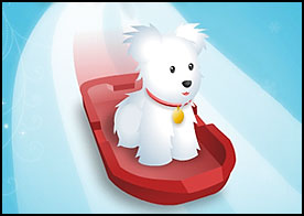 Evcil hayvanlardan istediğini seç onunla eğlenceli bir kayak macerası yaşa